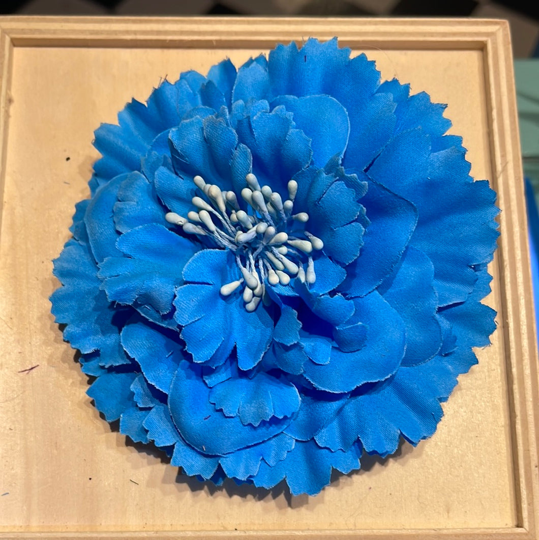 Krysantemum  Ø12 cm - blå