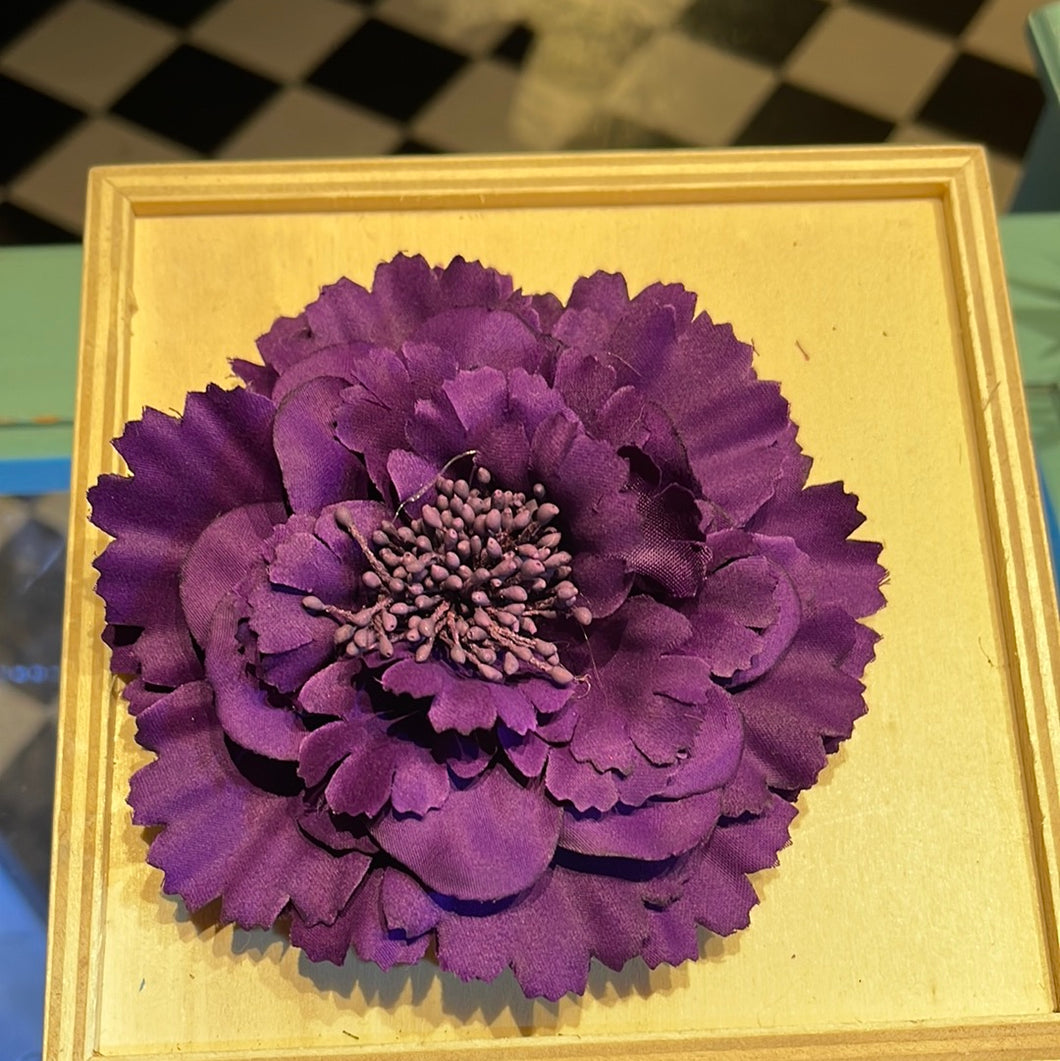 Krysantemum  Ø12 cm - lilla