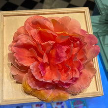 Indlæs billede til gallerivisning Krysantemum  Ø15 cm - lyserød
