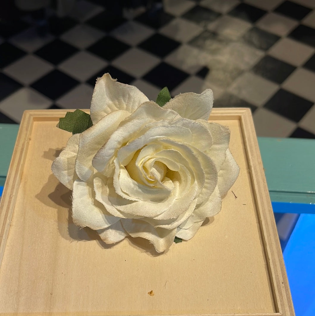 Rose Ø10 - hvid