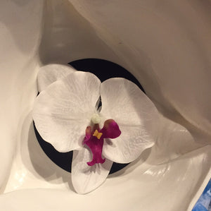 Orkide Ø11cm - hvid