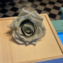 Indlæs billede til gallerivisning Rose Ø8 - støvet mint

