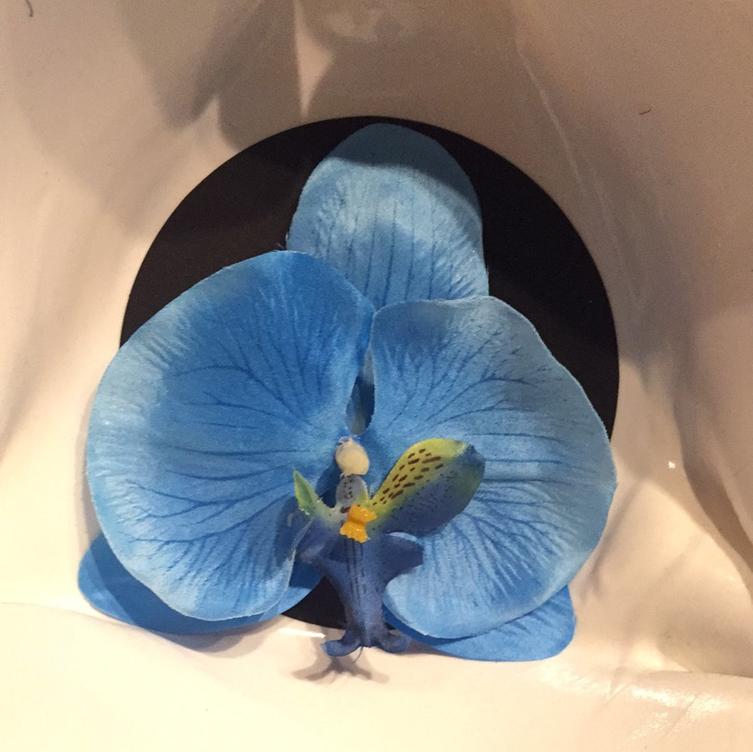 Orkide Ø11cm - blå